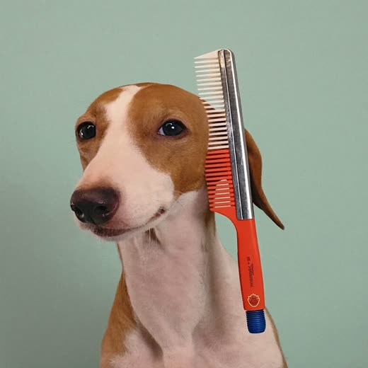 A grooming brush and comb